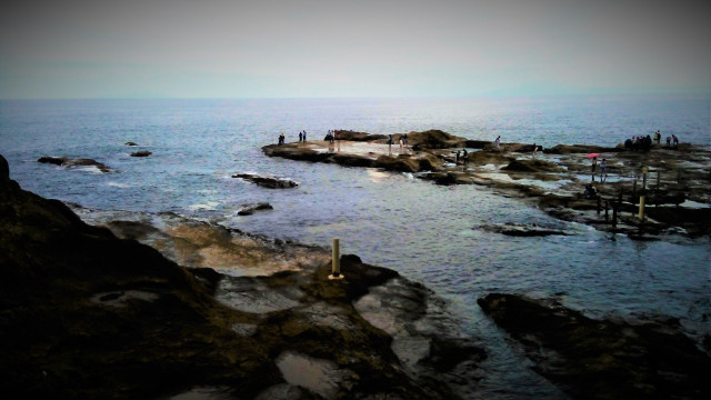 磯あそび（江の島）